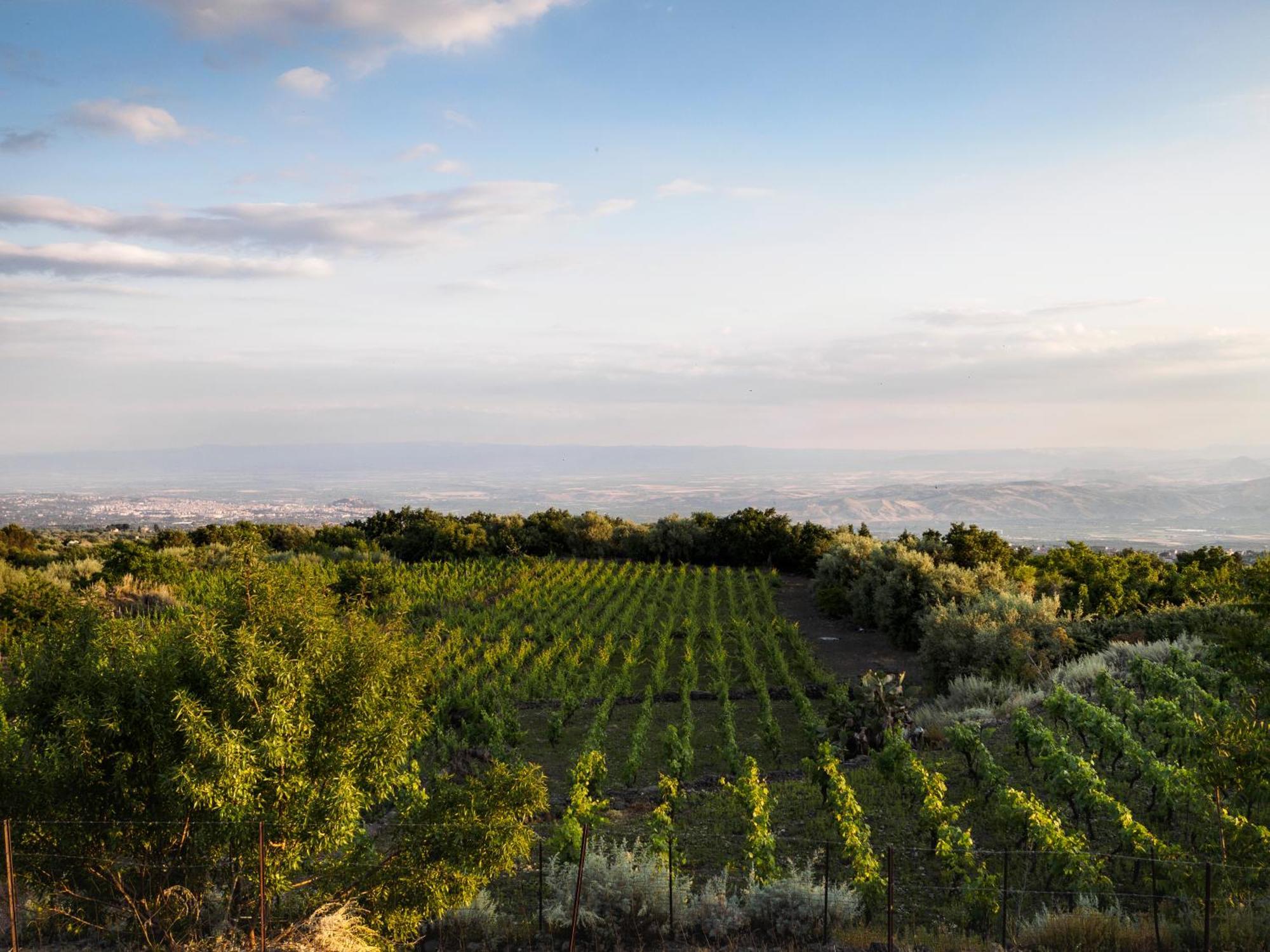 Podere Dell'Etna Segreta - Essential Nature Hotel & Glamping Biancavilla Exteriér fotografie